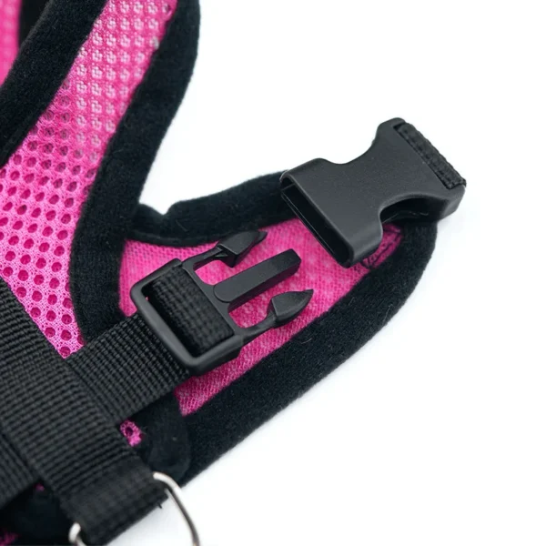 Laisse et Collier en Polyester Réglable pour Chien - Bouledogue Avenue https://bouledogueavenue.com/wp-content/uploads/2026/08/S98c1894665d34252af67ee2abb9ba34eX.webp