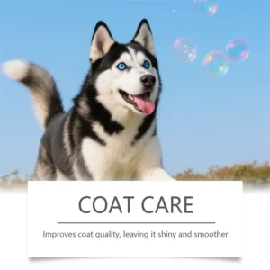 Gouttes de Collagène pour Chien - Peau et Pelage – Image 11