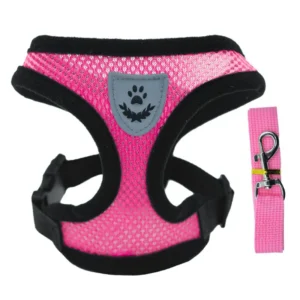 Laisse et Collier en Polyester Réglable pour Chien – Image 15