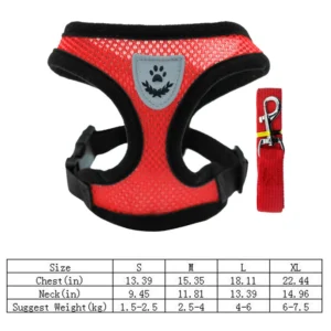 Laisse et Collier en Polyester Réglable pour Chien – Image 6