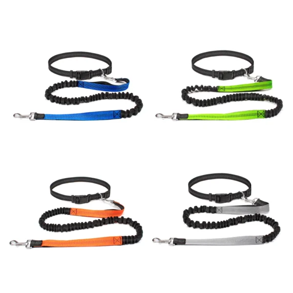 Laisse Mains Libres avec Ceinture Ajustable pour Chien - Bouledogue Avenue https://bouledogueavenue.com/wp-content/uploads/2026/08/S0e92f788fe5f456d9b450d036d9dfc63L.webp