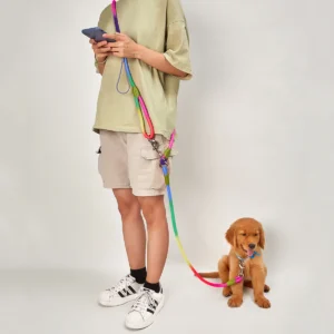 Laisse Réfléchissante Mains Libres pour Chien 31 Laisse Réfléchissante Mains Libres pour Chien – Image 14