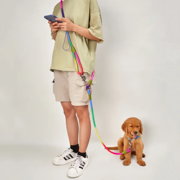Laisse Réfléchissante Mains Libres pour Chien 13 Laisse Réfléchissante Mains Libres pour Chien - Bouledogue Avenue https://bouledogueavenue.com/wp-content/uploads/2026/08/S207f4b38e20d45709bef5a40ce0eb634h-1.webp