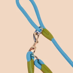 Laisse Réfléchissante Mains Libres pour Chien 23 Laisse Réfléchissante Mains Libres pour Chien – Image 6