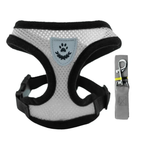 Laisse et Collier en Polyester Réglable pour Chien - Bouledogue Avenue https://bouledogueavenue.com/wp-content/uploads/2026/08/S98c1894665d34252af67ee2abb9ba34eX.webp