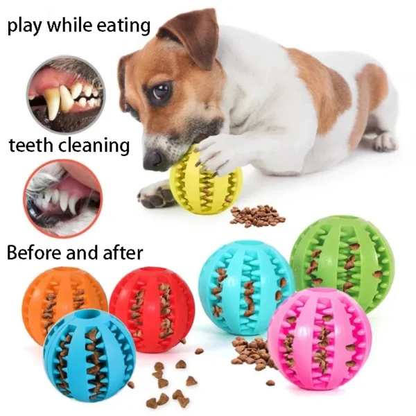 Balle Distributrice de Friandises en Caoutchouc Naturel - Bouledogue Avenue https://bouledogueavenue.com/wp-content/uploads/2026/08/S6a66b0f30bec4bd3853e1b1429fa9d7eY.webp