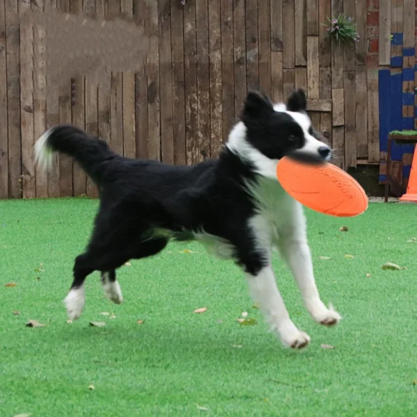 Frisbee en Silicone Souple et Résistant pour Chien 2 Frisbee en Silicone Souple et Résistant pour Chien - Bouledogue Avenue https://bouledogueavenue.com/wp-content/uploads/2026/08/S608878bf93b94a8d8b37122288f11807Y.webp