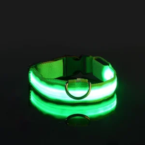 Laisse LED Lumineuse pour Sorties Nocturnes 35 Laisse LED Lumineuse pour Sorties Nocturnes – Image 13