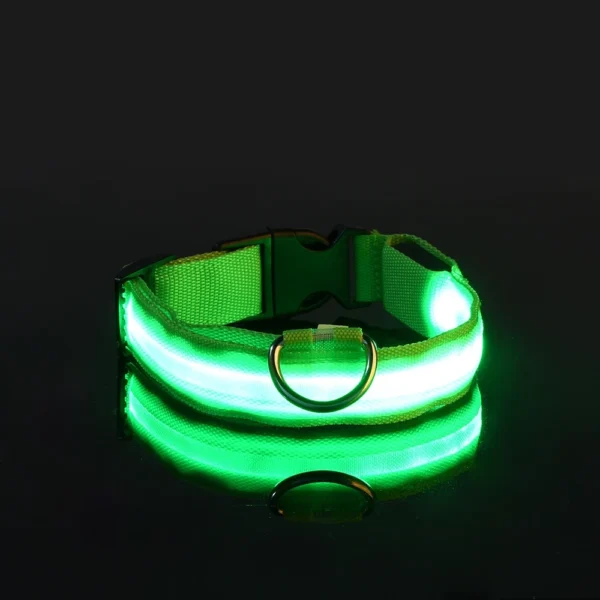 Laisse LED Lumineuse pour Sorties Nocturnes 12 Laisse LED Lumineuse pour Sorties Nocturnes - Bouledogue Avenue https://bouledogueavenue.com/wp-content/uploads/2026/08/S737c02cfd4b74daab2aaac83ec5a8407g.webp