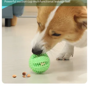 Jouet à Ventouse avec Distributeur de Friandises pour Chien 28 Jouet à Ventouse avec Distributeur de Friandises pour Chien – Image 11