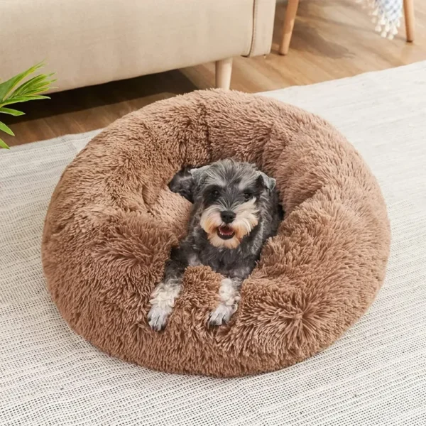 Lit Douillet en Forme de Donut pour Chien 33 Lit Douillet en Forme de Donut pour Chien - Bouledogue Avenue https://bouledogueavenue.com/wp-content/uploads/2026/08/Sc5c56035e85c4fa99f3532392f21954cH.webp