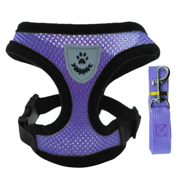 Laisse et Collier en Polyester Réglable pour Chien - Bouledogue Avenue https://bouledogueavenue.com/wp-content/uploads/2026/08/S98c1894665d34252af67ee2abb9ba34eX.webp
