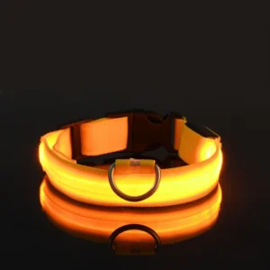 Laisse LED Lumineuse pour Sorties Nocturnes 34 Laisse LED Lumineuse pour Sorties Nocturnes – Image 12