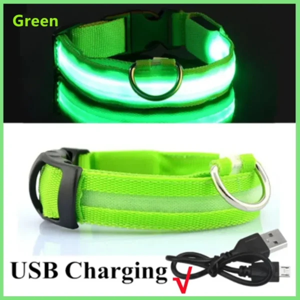 Collier Lumineux LED Rechargeable USB pour Chien 6 Collier Lumineux LED Rechargeable USB pour Chien - Bouledogue Avenue https://bouledogueavenue.com/wp-content/uploads/2026/08/Se8c8349e48ed4d5987e1eac04cf22a41c.webp