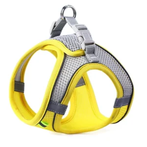 Ensemble Harnais et Laisse Réfléchissants pour Chien 20 Ensemble Harnais et Laisse Réfléchissants pour Chien – Image 7