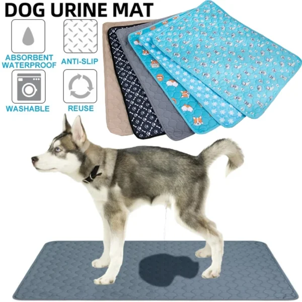 Tapis Absorbant Lavable pour Chien - Éducation Propreté - Bouledogue Avenue https://bouledogueavenue.com/wp-content/uploads/2026/08/S4d89cec7a470447393f3ef45459c1354d.webp