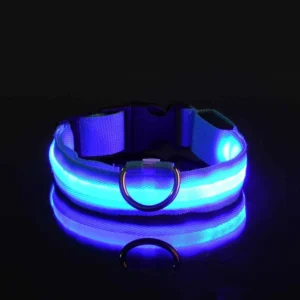 Laisse LED Lumineuse pour Sorties Nocturnes 30 Laisse LED Lumineuse pour Sorties Nocturnes – Image 8