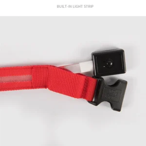 Collier Lumineux LED Rechargeable USB pour Chien 53 Collier Lumineux LED Rechargeable USB pour Chien – Image 18