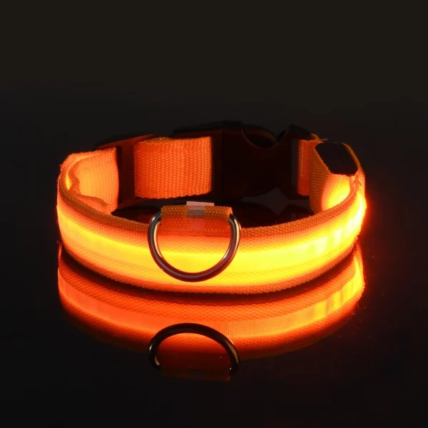 Laisse LED Lumineuse pour Sorties Nocturnes 10 Laisse LED Lumineuse pour Sorties Nocturnes - Bouledogue Avenue https://bouledogueavenue.com/wp-content/uploads/2026/08/S737c02cfd4b74daab2aaac83ec5a8407g.webp