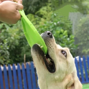 Frisbee en Silicone Souple et Résistant pour Chien 29 Frisbee en Silicone Souple et Résistant pour Chien – Image 13
