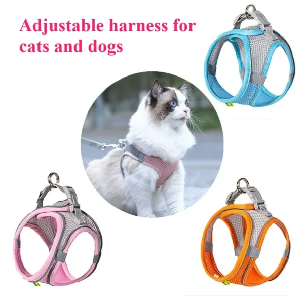 Jouet à Mâcher Résistant avec Couinement pour Chien - Bouledogue Avenue https://bouledogueavenue.com/wp-content/uploads/2026/08/S482b0daf072c4967967f8c2141a22e4aM.webp
