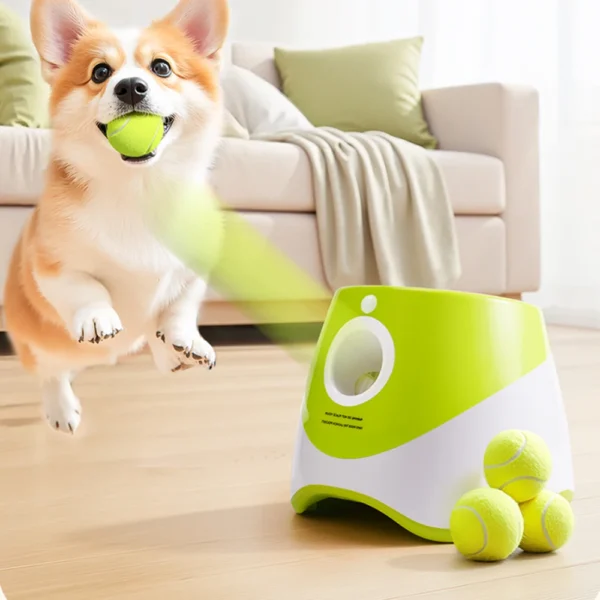 Lanceur de Balle Automatique pour Chien 9 Lanceur de Balle Automatique pour Chien - Bouledogue Avenue https://bouledogueavenue.com/wp-content/uploads/2026/08/Sadd7a55d55ac4e238d0df6a7179c5dcbw.webp