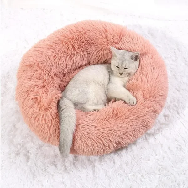 Lit Douillet en Forme de Donut pour Chien 32 Lit Douillet en Forme de Donut pour Chien - Bouledogue Avenue https://bouledogueavenue.com/wp-content/uploads/2026/08/Sc5c56035e85c4fa99f3532392f21954cH.webp