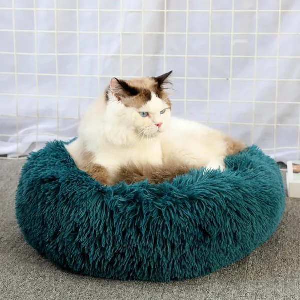 Lit Douillet en Forme de Donut pour Chien 35 Lit Douillet en Forme de Donut pour Chien - Bouledogue Avenue https://bouledogueavenue.com/wp-content/uploads/2026/08/Sc5c56035e85c4fa99f3532392f21954cH.webp