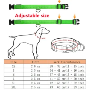 Collier Lumineux LED Rechargeable USB pour Chien 48 Collier Lumineux LED Rechargeable USB pour Chien – Image 13