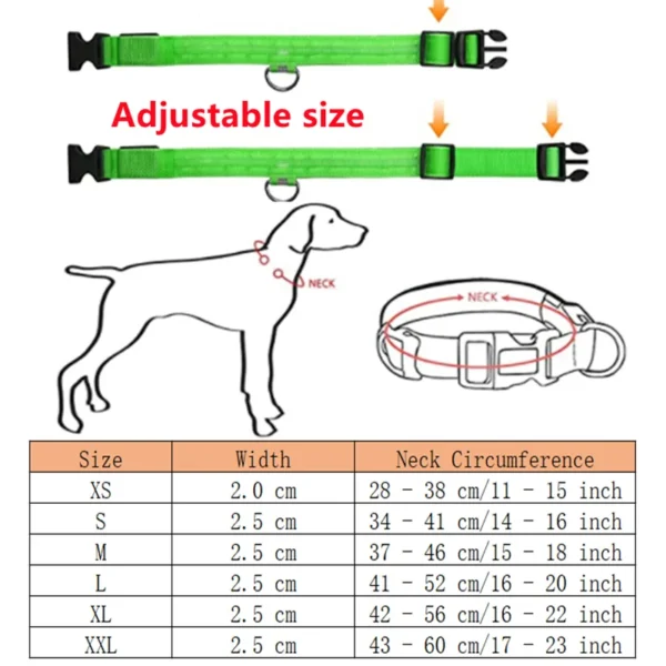 Collier Lumineux LED Rechargeable USB pour Chien 12 Collier Lumineux LED Rechargeable USB pour Chien - Bouledogue Avenue https://bouledogueavenue.com/wp-content/uploads/2026/08/Se8c8349e48ed4d5987e1eac04cf22a41c.webp