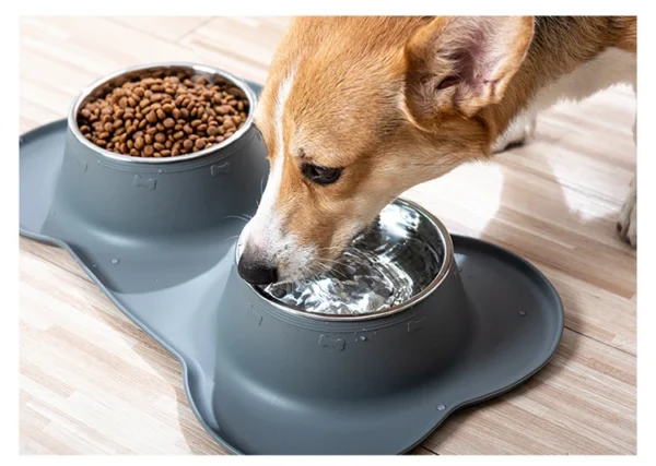 Gamelle Double Anti-Éclaboussure avec Base Silicone - Bouledogue Avenue https://bouledogueavenue.com/wp-content/uploads/2026/08/Sa0f9197d5fd843b283e476ca4e76893aP.webp