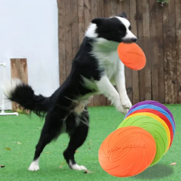 S608878bf93b94a8d8b37122288f11807Y.webp Frisbee en Silicone Souple et Résistant pour Chien - Bouledogue Avenue https://bouledogueavenue.com/wp-content/uploads/2026/08/S608878bf93b94a8d8b37122288f11807Y.webp