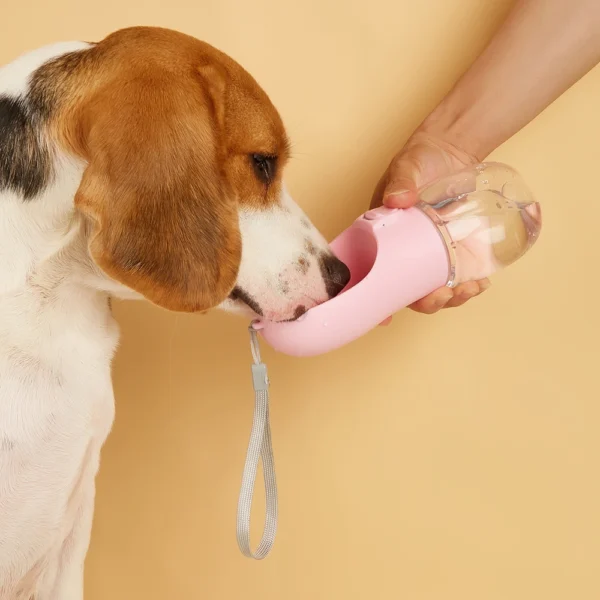Gourde Portable 550ml pour Chien avec Distributeur 4 Gourde Portable 550ml pour Chien avec Distributeur - Bouledogue Avenue https://bouledogueavenue.com/wp-content/uploads/2026/08/Sf9d80558d2e74f3a9cef95fdfeec5134F.webp