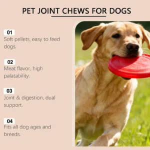Complément Articulations pour Chien - 100 Comprimés à Croquer – Image 14