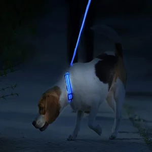 Collier Lumineux LED Rechargeable USB pour Chien 50 Collier Lumineux LED Rechargeable USB pour Chien – Image 15
