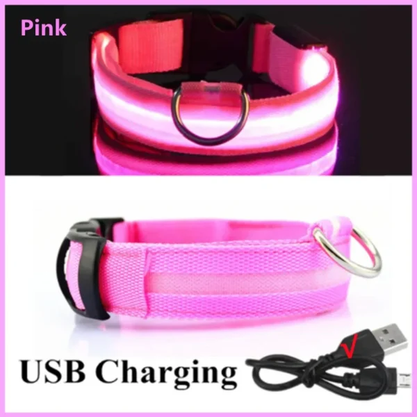 Collier Lumineux LED Rechargeable USB pour Chien 9 Collier Lumineux LED Rechargeable USB pour Chien - Bouledogue Avenue https://bouledogueavenue.com/wp-content/uploads/2026/08/Se8c8349e48ed4d5987e1eac04cf22a41c.webp
