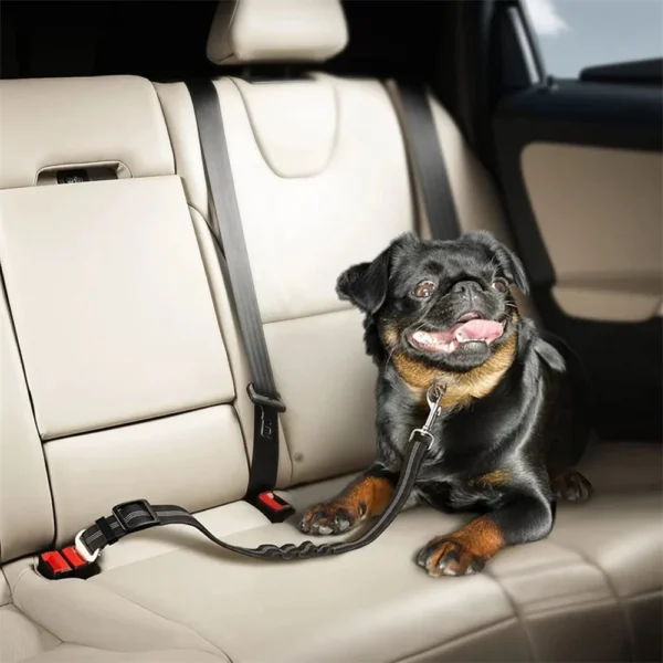 Harnais Ceinture de Sécurité Réfléchissant pour Voiture - Bouledogue Avenue https://bouledogueavenue.com/wp-content/uploads/2026/08/Sce47c3e5fa054b77950f74bcfe0a8303G.webp