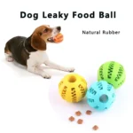Balle Distributrice de Friandises en Caoutchouc Naturel - Bouledogue Avenue https://bouledogueavenue.com/wp-content/uploads/2026/08/S6a66b0f30bec4bd3853e1b1429fa9d7eY.webp