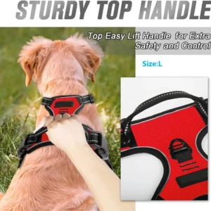 Harnais Anti-Traction Confortable pour Chien 21 Harnais Anti-Traction Confortable pour Chien – Image 5