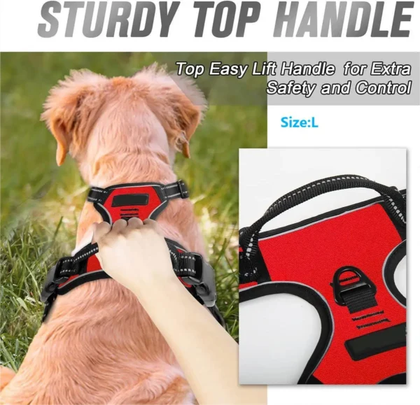 Harnais Anti-Traction Confortable pour Chien 4 Harnais Anti-Traction Confortable pour Chien - Bouledogue Avenue https://bouledogueavenue.com/wp-content/uploads/2026/08/S309991a40dd04640a1084c86e1a73d37F.webp