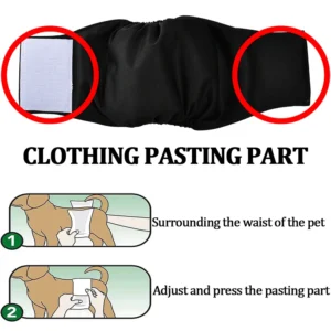Couches Lavables Respirantes pour Chien Mâle - Lot de 3 – Image 4