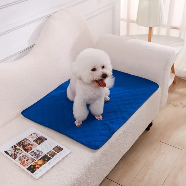Tapis Absorbant Lavable pour Chien - Éducation Propreté - Bouledogue Avenue https://bouledogueavenue.com/wp-content/uploads/2026/08/S4d89cec7a470447393f3ef45459c1354d.webp