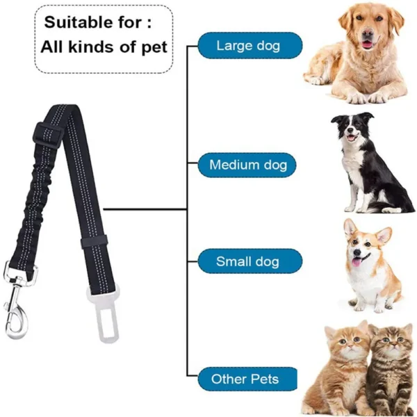 Harnais Ceinture de Sécurité Réfléchissant pour Voiture - Bouledogue Avenue https://bouledogueavenue.com/wp-content/uploads/2026/08/Sce47c3e5fa054b77950f74bcfe0a8303G.webp