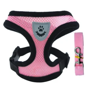 Laisse et Collier en Polyester Réglable pour Chien – Image 11