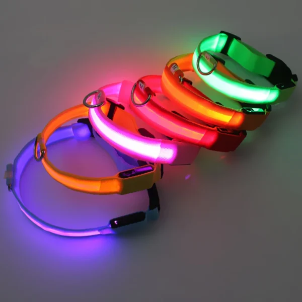 Collier Lumineux LED Rechargeable USB pour Chien 28 Collier Lumineux LED Rechargeable USB pour Chien - Bouledogue Avenue https://bouledogueavenue.com/wp-content/uploads/2026/08/Se8c8349e48ed4d5987e1eac04cf22a41c.webp
