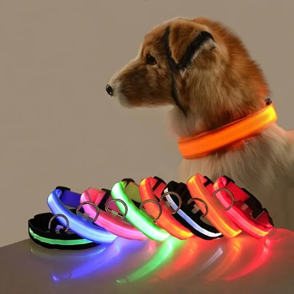 S737c02cfd4b74daab2aaac83ec5a8407g.webp Laisse LED Lumineuse pour Sorties Nocturnes - Bouledogue Avenue https://bouledogueavenue.com/wp-content/uploads/2026/08/S737c02cfd4b74daab2aaac83ec5a8407g.webp