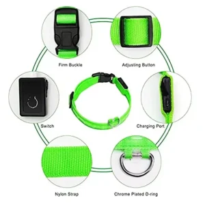 Collier Lumineux LED Rechargeable USB pour Chien 52 Collier Lumineux LED Rechargeable USB pour Chien – Image 17