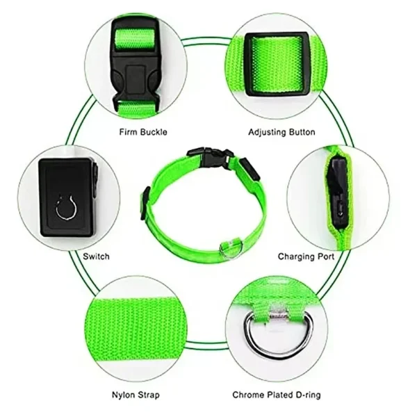 Collier Lumineux LED Rechargeable USB pour Chien 16 Collier Lumineux LED Rechargeable USB pour Chien - Bouledogue Avenue https://bouledogueavenue.com/wp-content/uploads/2026/08/Se8c8349e48ed4d5987e1eac04cf22a41c.webp
