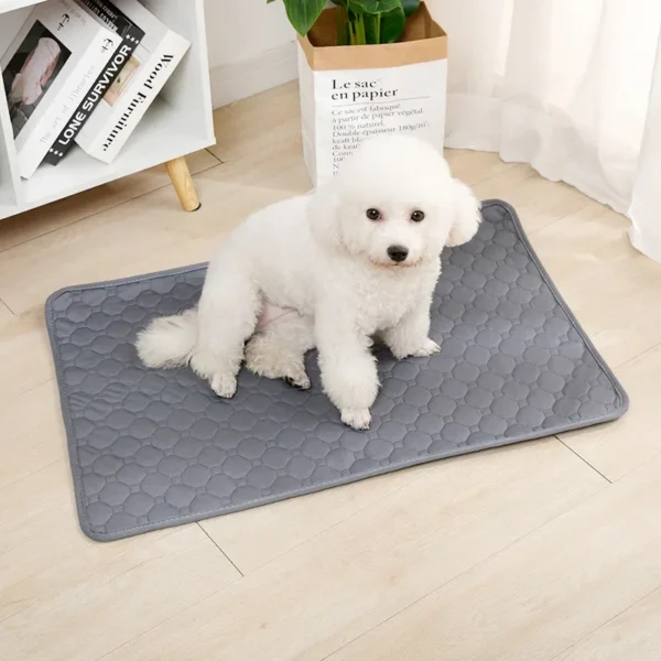 Tapis Absorbant Lavable pour Chien - Éducation Propreté - Bouledogue Avenue https://bouledogueavenue.com/wp-content/uploads/2026/08/S4d89cec7a470447393f3ef45459c1354d.webp