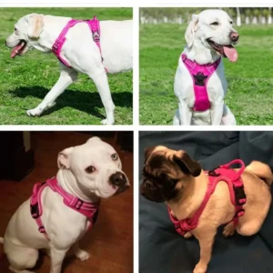 Harnais Respirant Réfléchissant pour Chien – Image 4